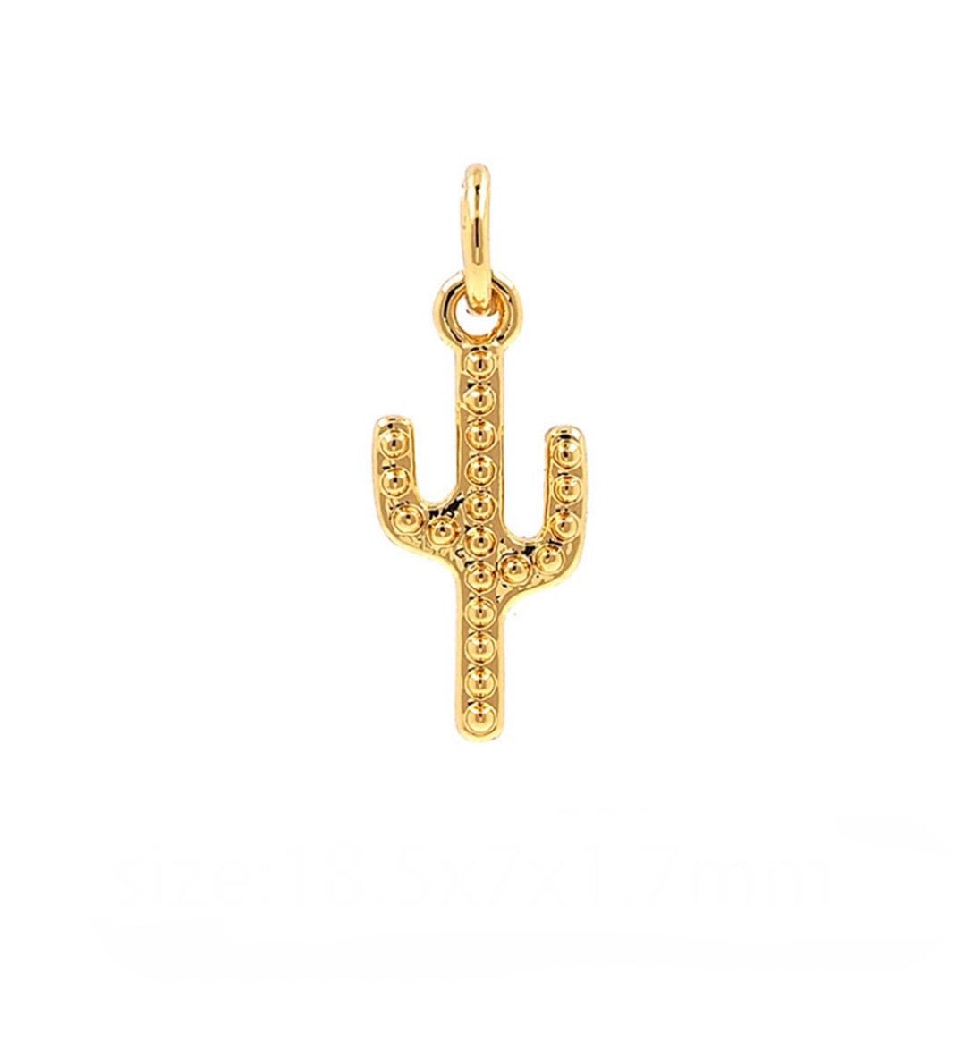 Mini Cactus